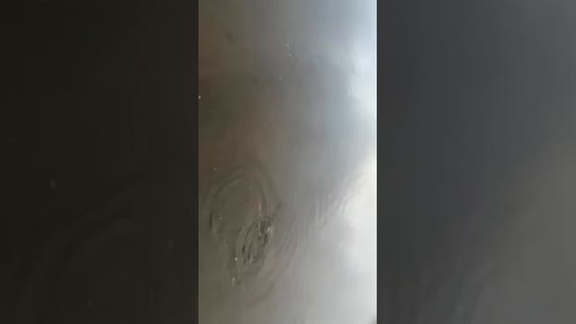 Щука на Семеновском озере Мурманск 2021 смотреть онлайн