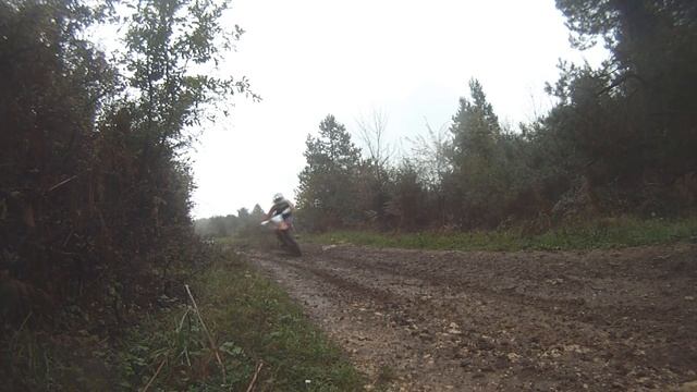 Honda CRF 250 Going Fast in Forest смотреть онлайн