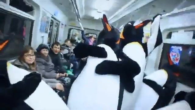 Пингвины в метро очень крутое видео смотреть онлайн