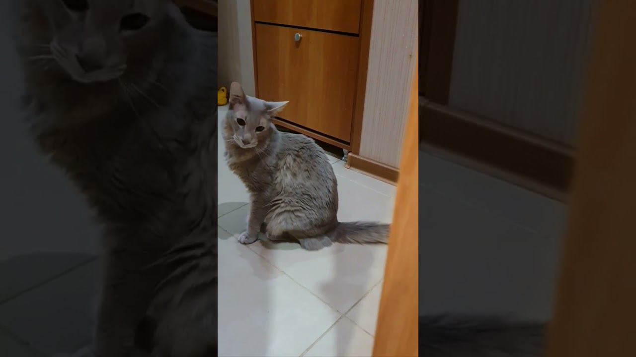 А что это у вас делается? смотреть онлайн