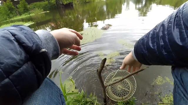 Рыбалка на маленьком пруду. Карп смотреть онлайн
