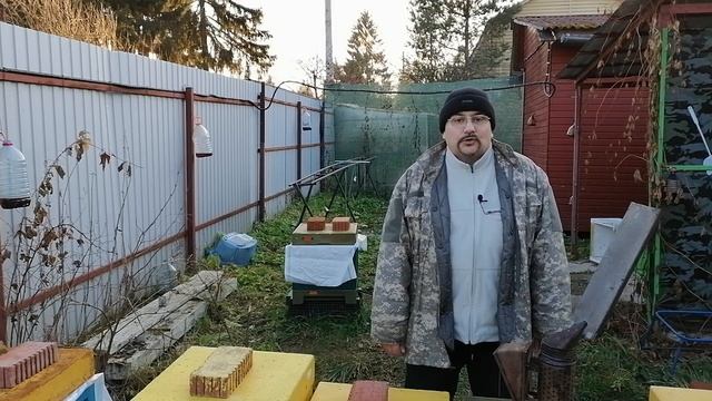 ? Чем сейчас ещё можно обработать пчёл от клеща Варроа ? смотреть онлайн