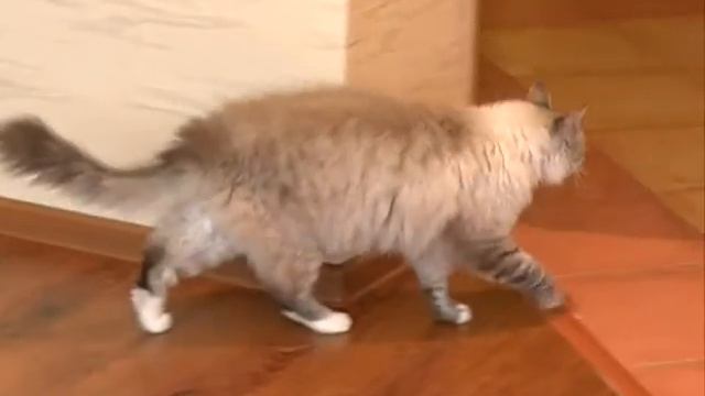 В Ярославской области могут возрасти налоговые платежи за жилье смотреть онлайн