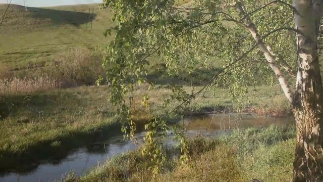 Буктрейлер по книге Александры Ивановны Чернышевой, Кувайский сельский филиал