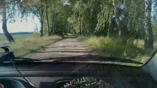 ?Пчелы на подсолнечнике смотреть онлайн