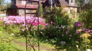 Арка садовая