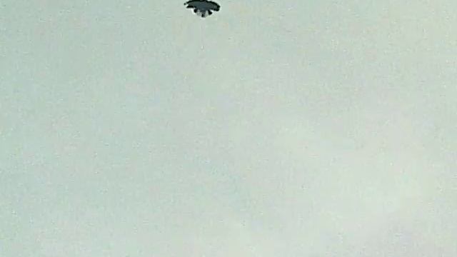 николаевские серпасто-выворотные голуби 2015 смотреть онлайн