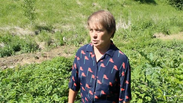 Июль, пора копать картофель, г.Омск смотреть онлайн