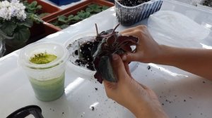 Почему пересыхает фитиль.