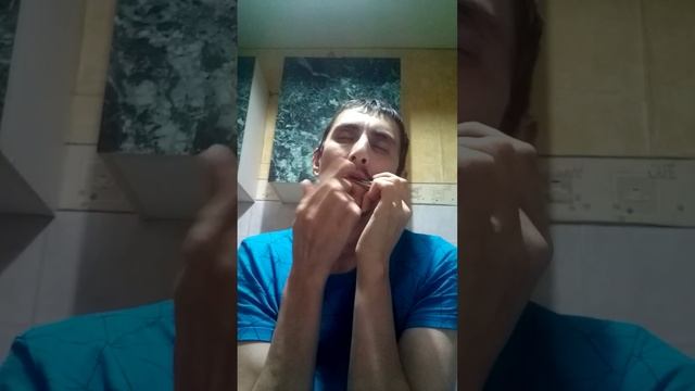 Варган Лепесток в ноту Фа(F2) большой октавы смотреть онлайн