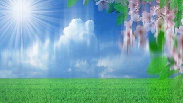 #С днем АВТОМОБИЛИСТА #C днем ВОДИТЕЛЯ смотреть онлайн