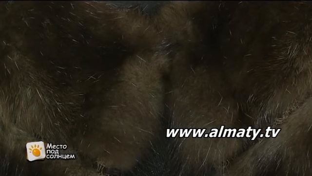 Холодильники для шуб смотреть онлайн