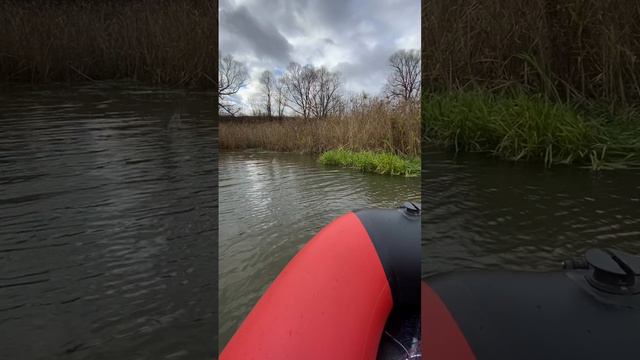 На рыбалке #рыбалка #лодка #рыбаки