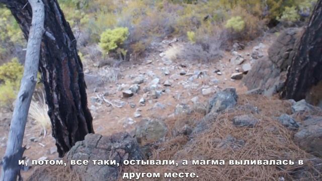 О теории перемещения континентов. смотреть онлайн