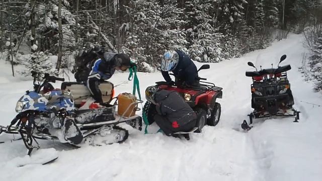 IRBIS Dingo T 125 смотреть онлайн