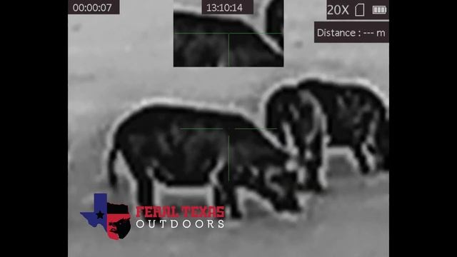 AGM Varmint LRF TS50 640 Review смотреть онлайн