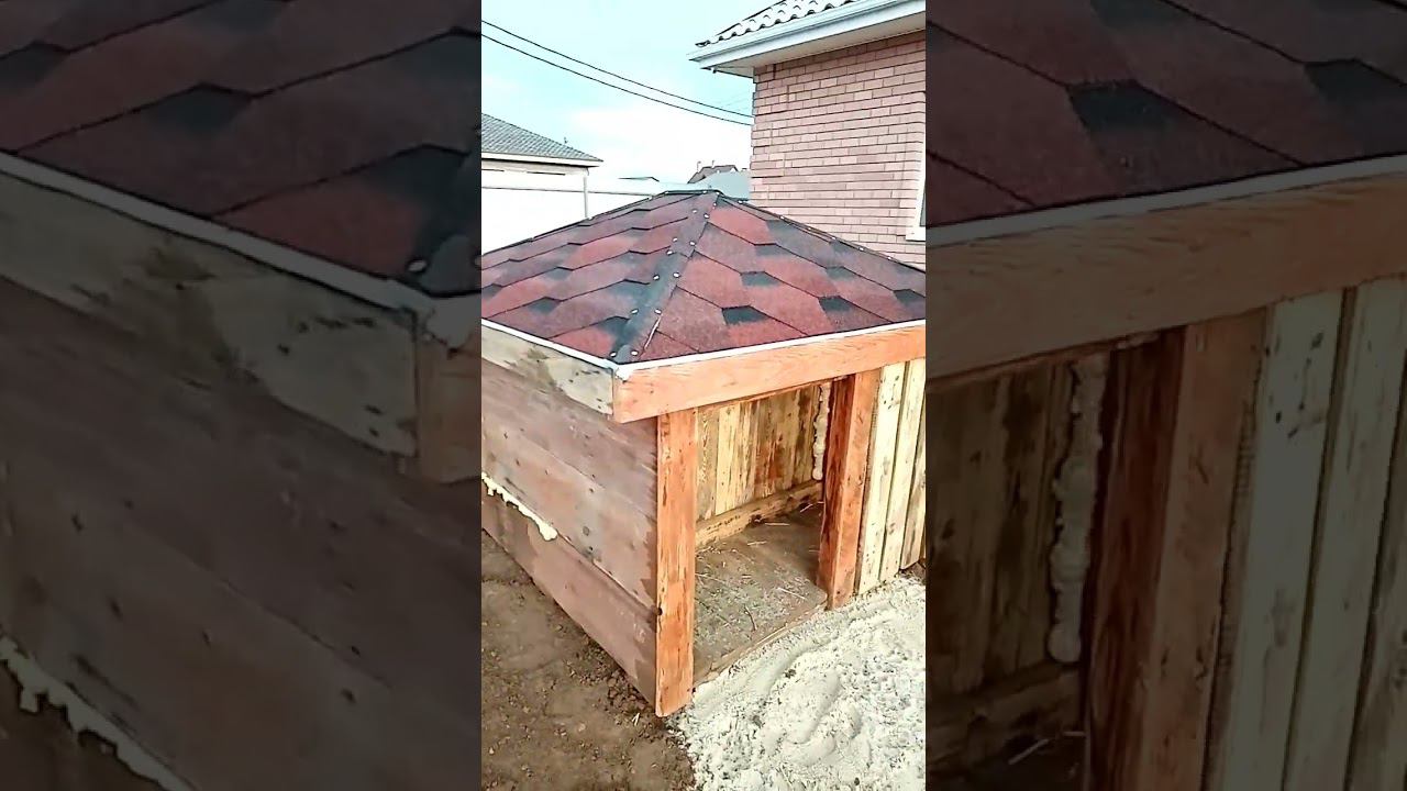 Новая будка для Собакина