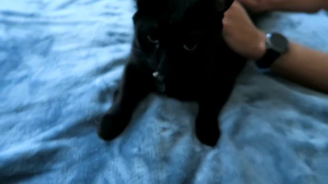 МЫ В ГЛАВНОМ ОФИСЕ YOUTUBE! смотреть онлайн