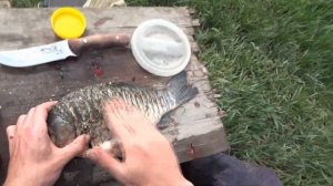 Жареный Карась На Мангале. Как приготовить рыбу на углях | Илюха Ловит