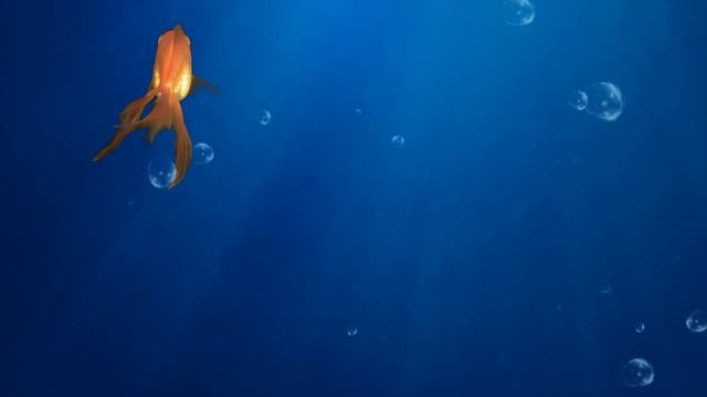 CAT GAMES - CATCHING GOLDFISH (Videos For Cats to Watch) 4K смотреть онлайн