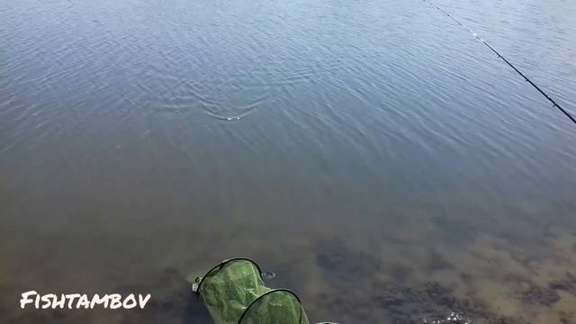 Бешеный клев КАРАСЯ. Рыбалка в живописном месте тамбовской области. смотреть онлайн