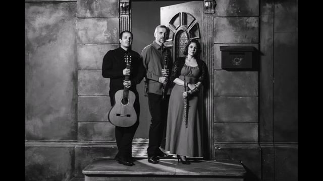 Astor Piazzolla - Libertango - Neusatz Trio смотреть онлайн