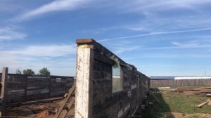 Сарай для крс и бычков строим