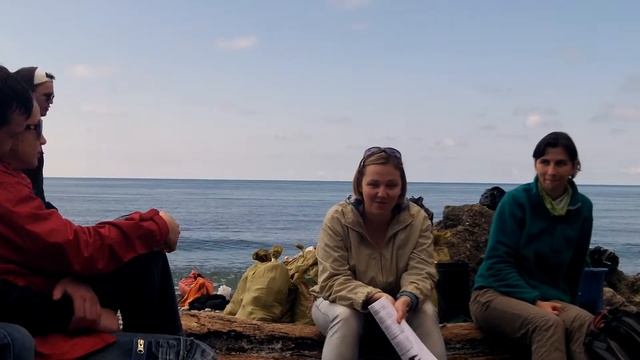 О черноморских дельфинах смотреть онлайн