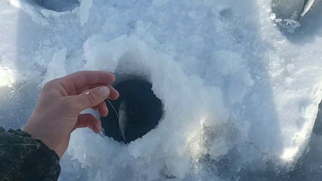 Расставил БУТЫЛКИ - ЖЕРЛИЦЫ... И НАЧАЛАСЬ ИГРА!!! ЩУКИ НА ЖЕРЛИЦУ БУТЫЛКУ!!!! Рыбалка 2021-2022! смотреть онлайн