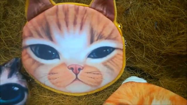 CAT VS DOG? Кого Выберешь ТЫ? |Поступление 07/04 | смотреть онлайн