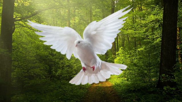 Unos minutos con el Espíritu Santo del día de HOY en el CENÁCULO con María, subtítulos e imágenes H смотреть онлайн