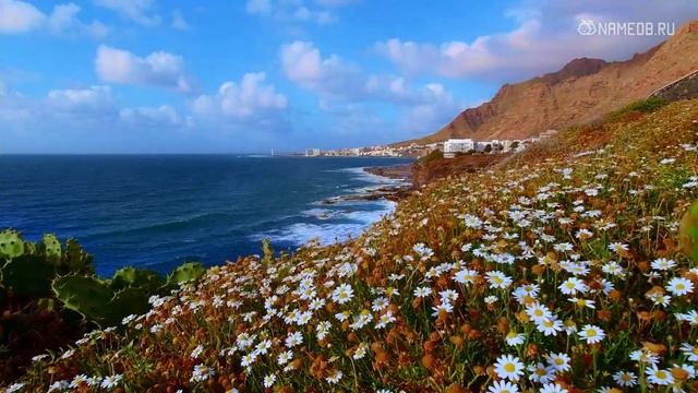 Топ-5 фраз уставшей от жизни женщины смотреть онлайн