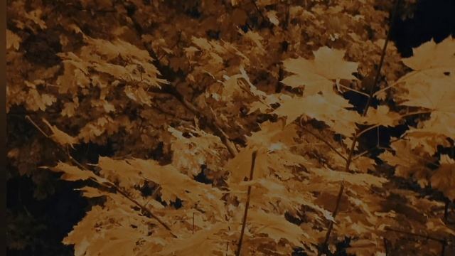 МАМИНЫ ГЛАЗА ? ... #МАМА #отдуши #Лариса смотреть онлайн