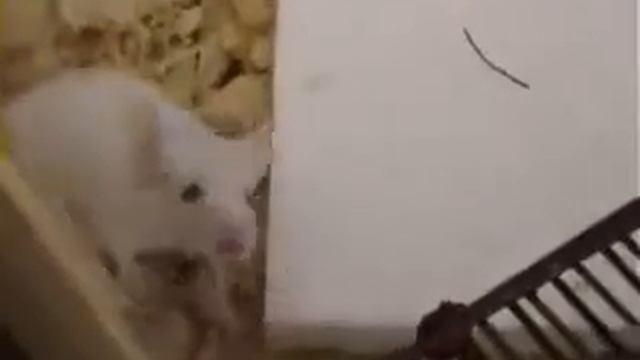 Пенопласт - не только дом родной... ещё и хлеб насущный смотреть онлайн