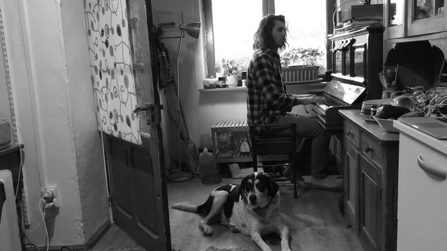 Nick Cave - Into My Arms Cover - Nick Bannan смотреть онлайн