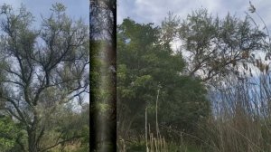 3 июня праздник День Владимирской Иконы Божией Матери. Что нельзя делать в этот день. В чем помогае