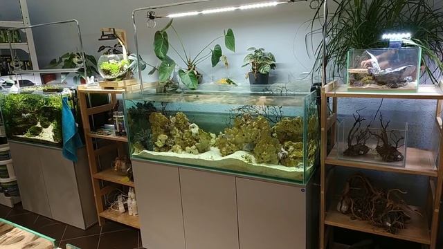 Пару слов о фильтрации. Поменяли грунт в 700 литров. смотреть онлайн