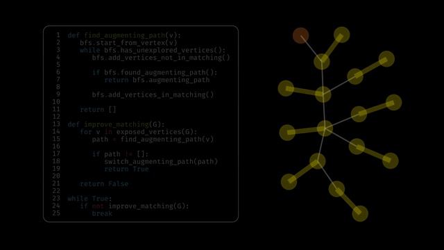 The Blossom Algorithm смотреть онлайн