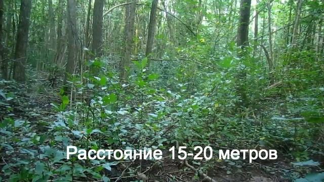 Маскхалат Березка Маскировка в Лесу смотреть онлайн