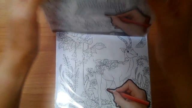 ЗАКАЗ из интернет-магазина "ЛАБИРИНТ" смотреть онлайн