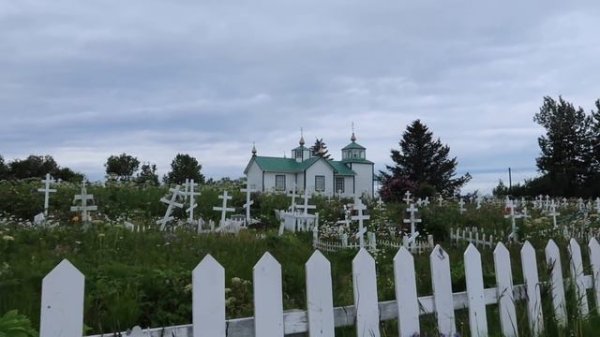 Exploring Alaska :: Kachemak Bay Boat, Wildlife, & RV Trip Back to Anchorage :: Day 3