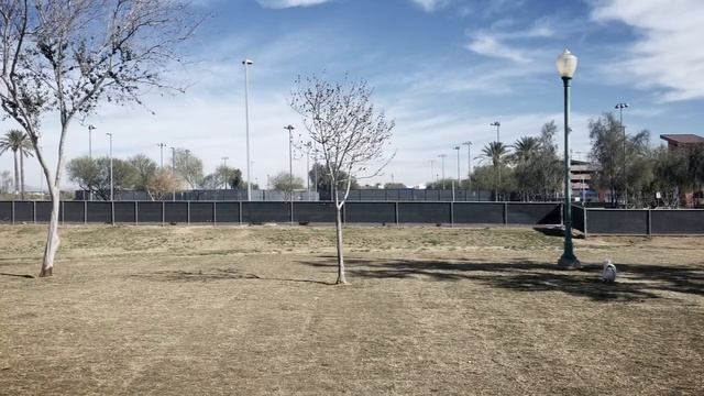 Surprise Community Park смотреть онлайн