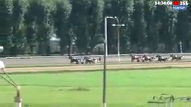 22.08.2021. Прямая трансляция с ЦМИ. 11 заездов и 4 приза. смотреть онлайн