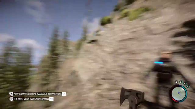 The Adventure Of 2 Idiots-sons Of The Forrest