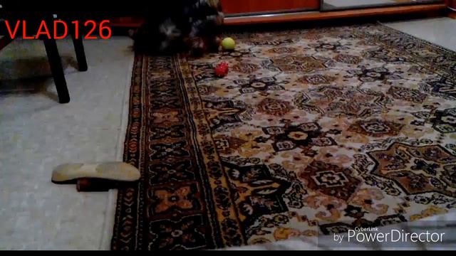 Игра с Барни!😊 смотреть онлайн