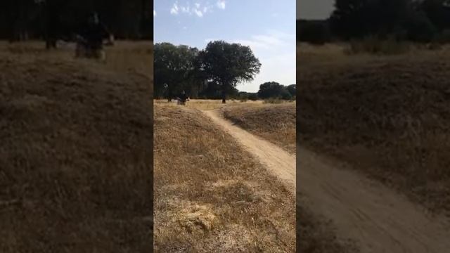 El #Pardo смотреть онлайн