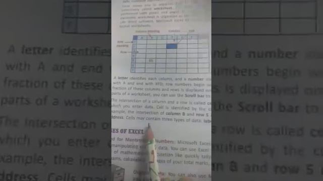 Class 6th Computer, Chapter - 3, Excel- Creating worksheet смотреть онлайн