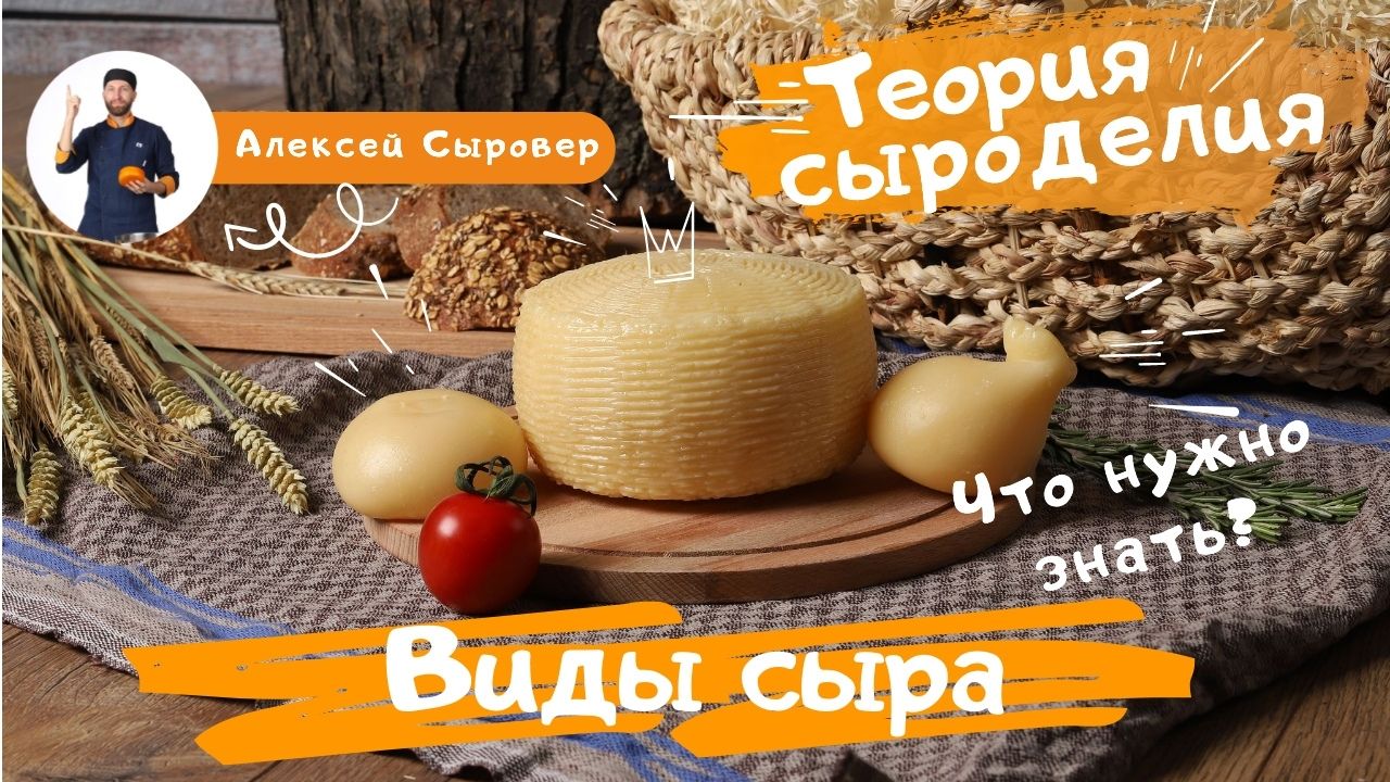 Виды сыра. Что нужно знать