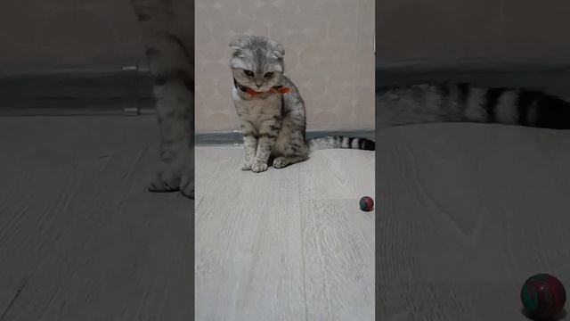 Потрясающая женщина это та..