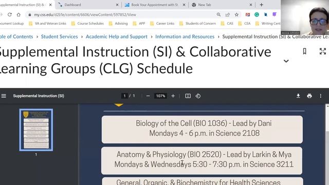 Academic Help & Support Options at CSS смотреть онлайн